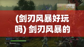 (剑刃风暴好玩吗) 剑刃风暴的艺术与技术：如何在战斗中巧妙运用，制胜关键所在